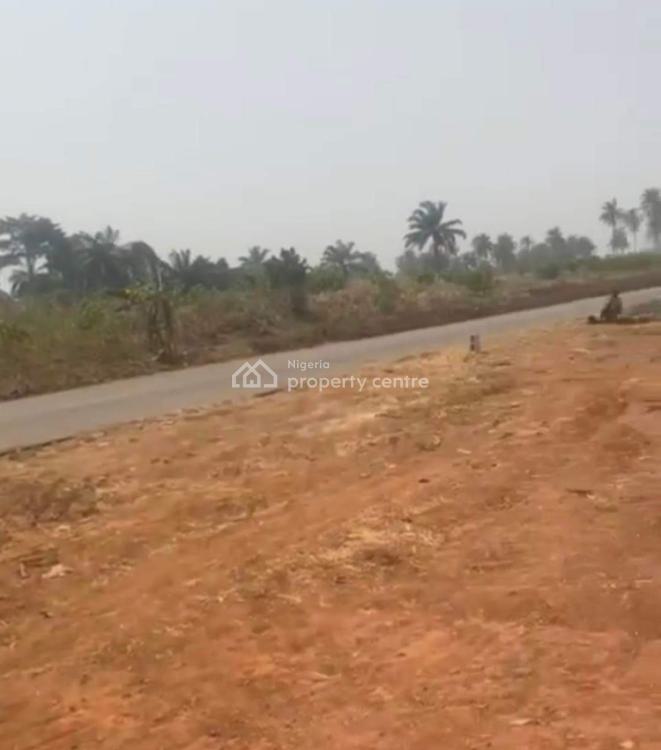 Most Affordable Tableland Strategically Located, Ivy Estate  Umuahia, Bende, Abia, Land for Sale