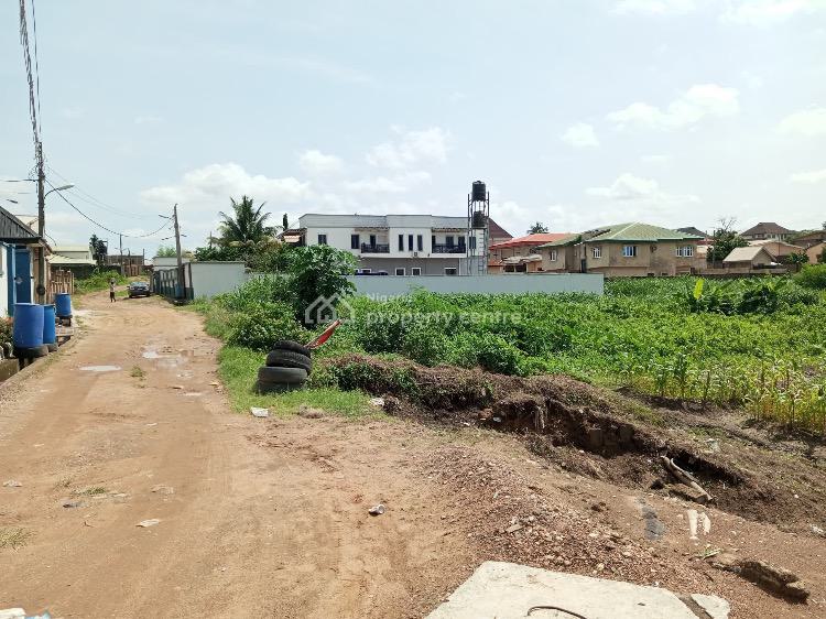For Sale Plot Of Land, Peace And Joy Avenue Opposite Chicken Republic