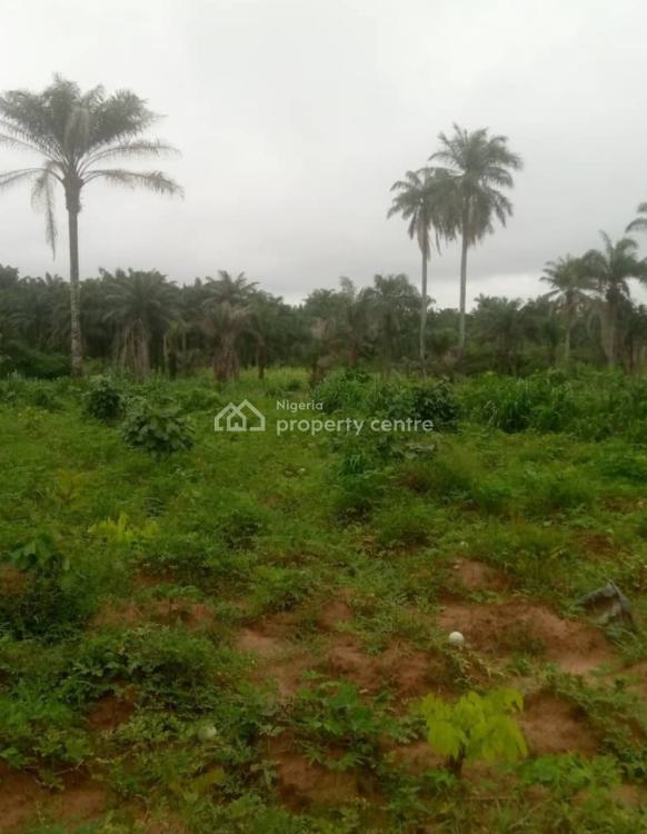 C of O Estate Very Close to The Road, Mega City Estate ,obosima, Owerri West, Imo, Mixed-use Land for Sale