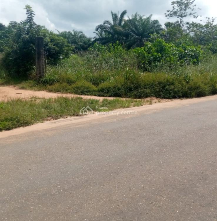 C of O Estate Very Close to The Road, Mega City Estate ,obosima, Owerri West, Imo, Mixed-use Land for Sale