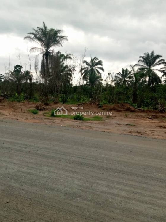 C of O Estate Very Close to The Road, Mega City Estate ,obosima, Owerri West, Imo, Mixed-use Land for Sale