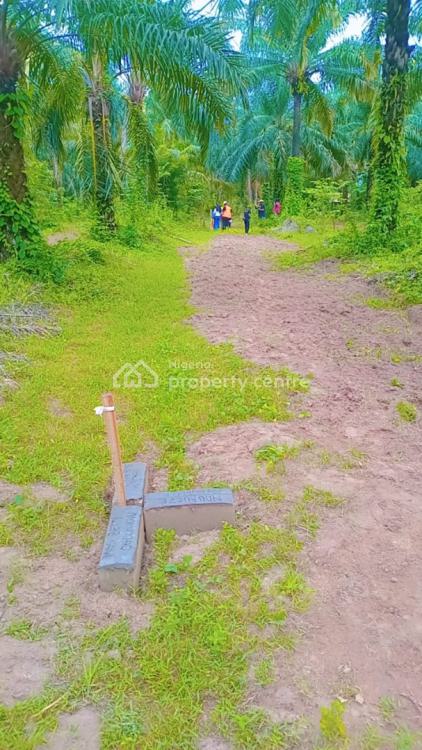 Land with Palm Oil Production for Passive Income + Land Appreciation, Iwo Road, Ibadan, Oyo, Mixed-use Land for Sale