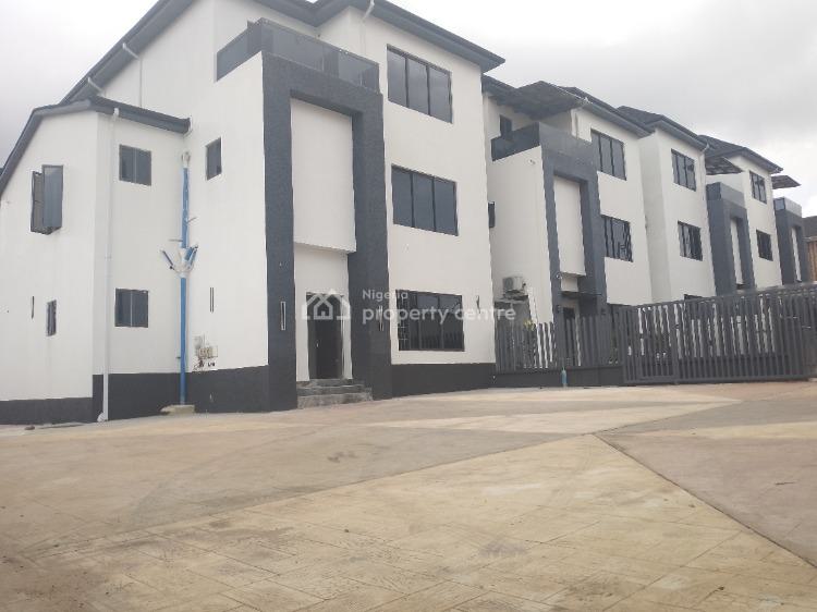 Brand New Five Bedroom Semi Detached Duplex, Asokoro District, Abuja, Semi-detached Duplex for Rent