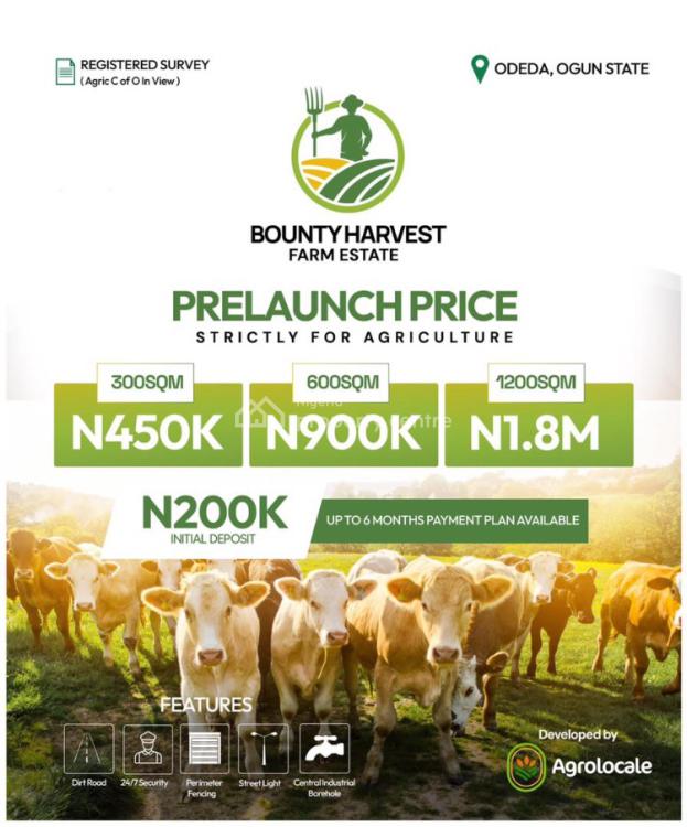 Fertile Farm Land Available, Close to Market and Odeda Roundabout, Odeda, Ogun, Land for Sale