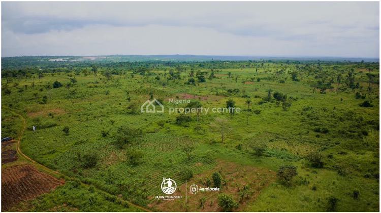 Fertile Farm Land Available, Close to Market and Odeda Roundabout, Odeda, Ogun, Land for Sale