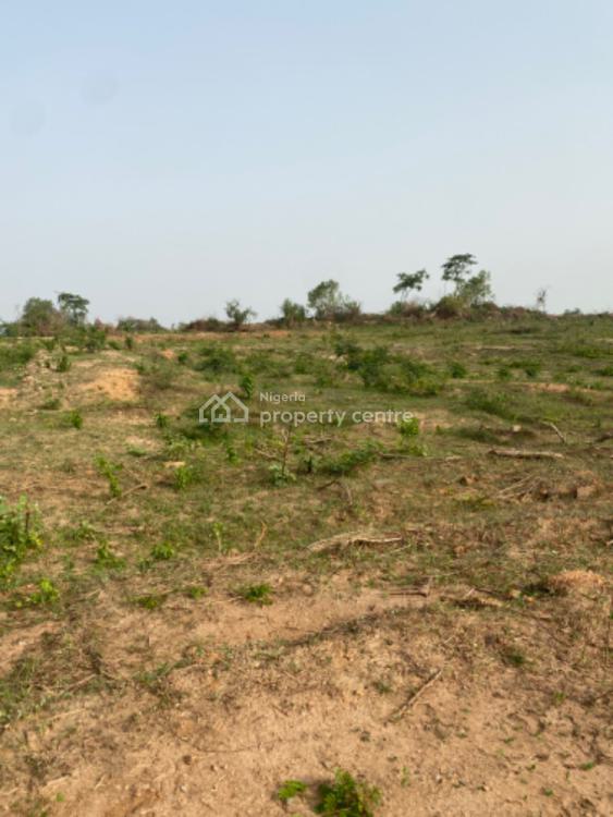 Farmland Available with Fertile Soil, Federal Ministry of Agriculture, Odeda, Ogun, Land for Sale
