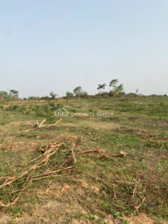 Farmland Available with Fertile Soil, Federal Ministry of Agriculture, Odeda, Ogun, Land for Sale