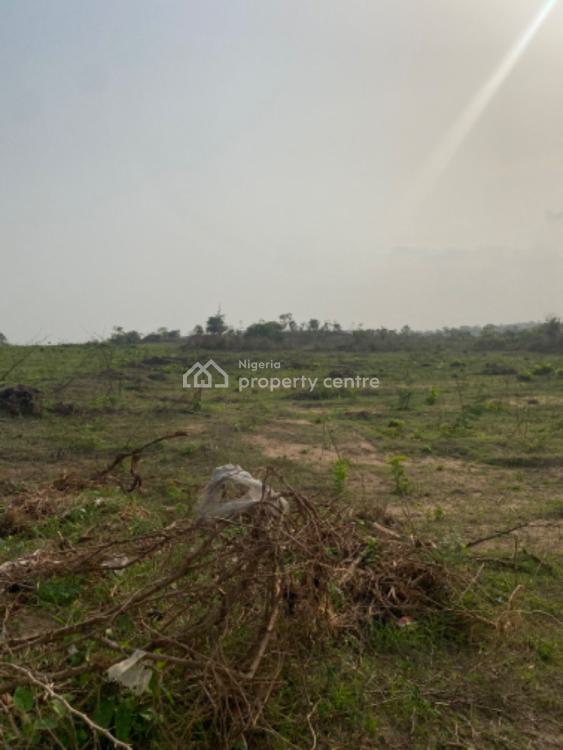 Farmland Available with Fertile Soil, Federal Ministry of Agriculture, Odeda, Ogun, Land for Sale