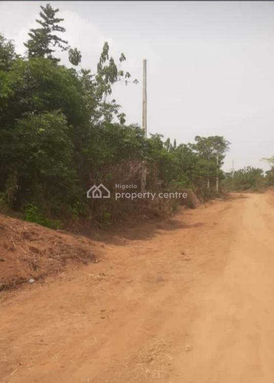 Government Approved Estate Near Major Road, Alaudo Gardens & Parks Ihiagwu/futo Road Okolochi Village, Owerri West, Imo, Mixed-use Land for Sale