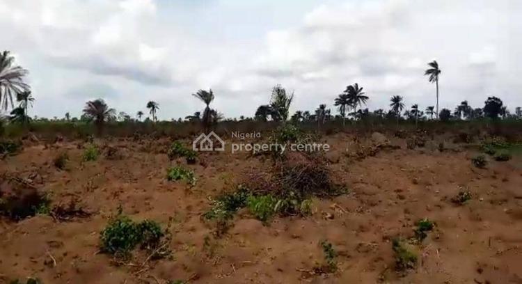Land with High Return on Investment, Doreth Homes Estate, Ketu, Lagos, Residential Land for Sale