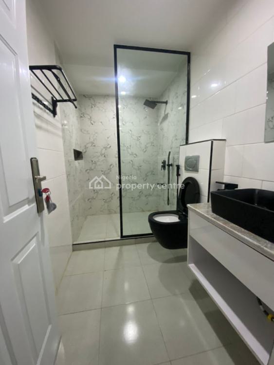 Nicely Furnished Two Bedrooms Apartment, Asokoro District, Abuja, Flat / Apartment for Rent