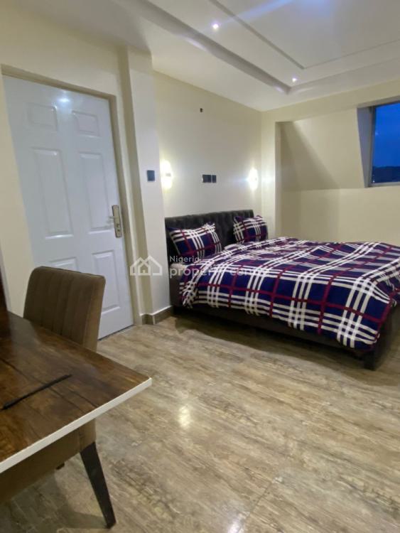 Furnished and Serviced 2 Bedroom Available, Asokoro District, Abuja, Flat / Apartment for Rent