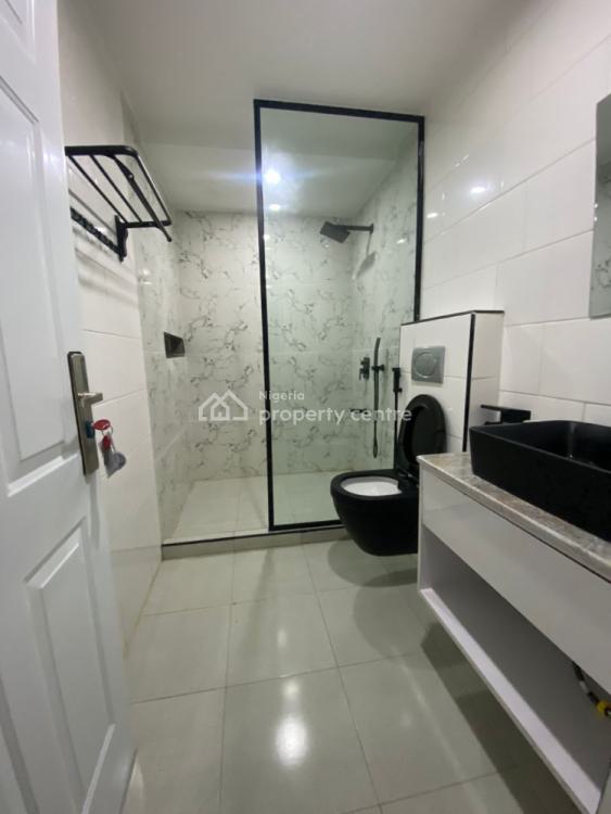 Furnished and Serviced 2 Bedroom Available, Asokoro District, Abuja, Flat / Apartment for Rent