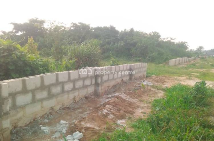 For Sale: Affordable Land, 20mins From Chokocho Junction, Etche, Rivers ...