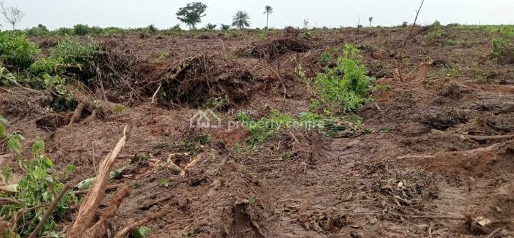 Affordable Land in Epe, Epe, Lagos, Mixed-use Land for Sale
