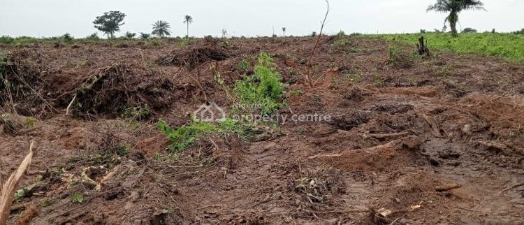 Affordable Land in Epe, Epe, Lagos, Mixed-use Land for Sale
