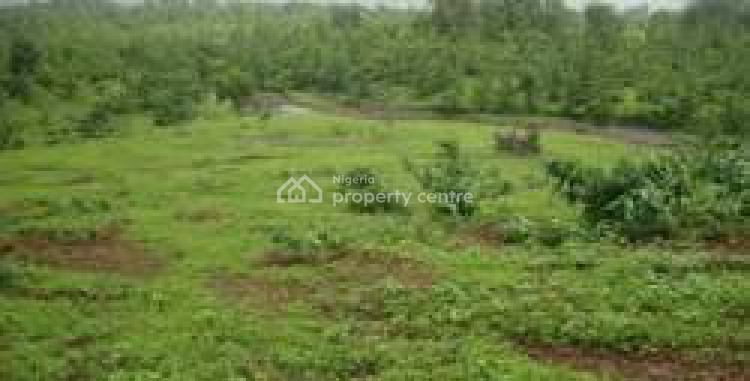 Champion Plots Premium 100%dry Land, International Airport Road Champions Court Estate, Epe, Lagos, Residential Land for Sale