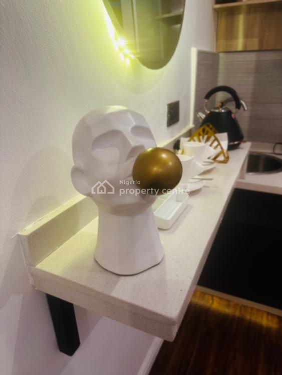 Luxury One Bedroom Apartment, Anthony Etukudo Avenue, Lekki Phase 1, Lekki, Lagos, Mini Flat (room and Parlour) for Rent