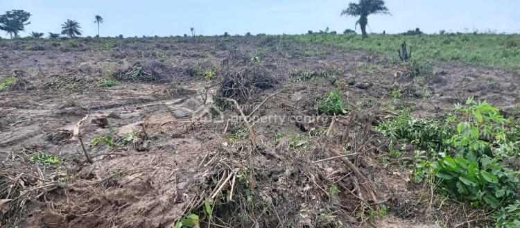 Cheapest Buy and Build Land in a Built Up Location, Epe, Lagos, Land for Sale