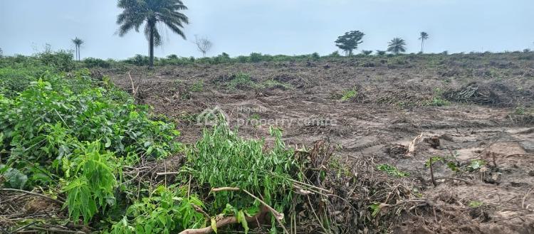 Cheapest Buy and Build Land in a Built Up Location, Epe, Lagos, Land for Sale