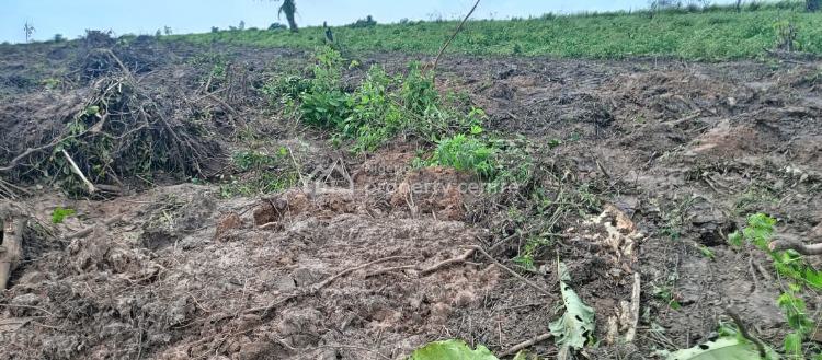 Cheapest Buy and Build Land in a Built Up Location, Epe, Lagos, Land for Sale