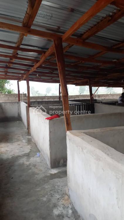 Poultry Farm, Angwan Nimzo, Keffi, Nasarawa, Land for Sale