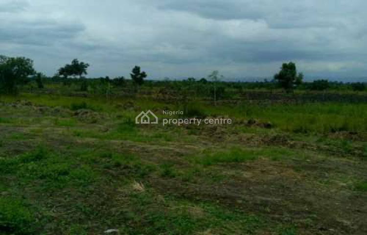 20 Hectares, Guzape 2, Guzape District, Abuja, Residential Land for Sale