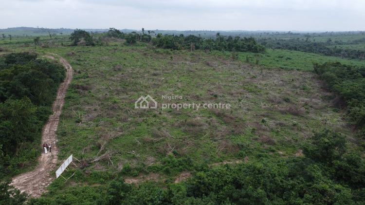 Cheapest Farm Land, Epe Toll Gate, Epe, Lagos, Land for Sale