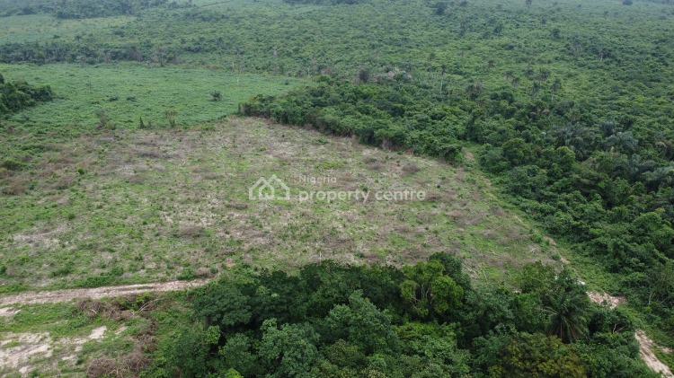 Cheapest Farm Land, Epe Toll Gate, Epe, Lagos, Land for Sale