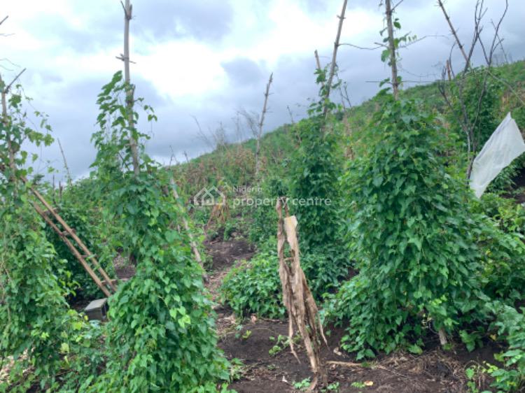 Cheapest Farm Land, Epe Toll Gate, Epe, Lagos, Land for Sale