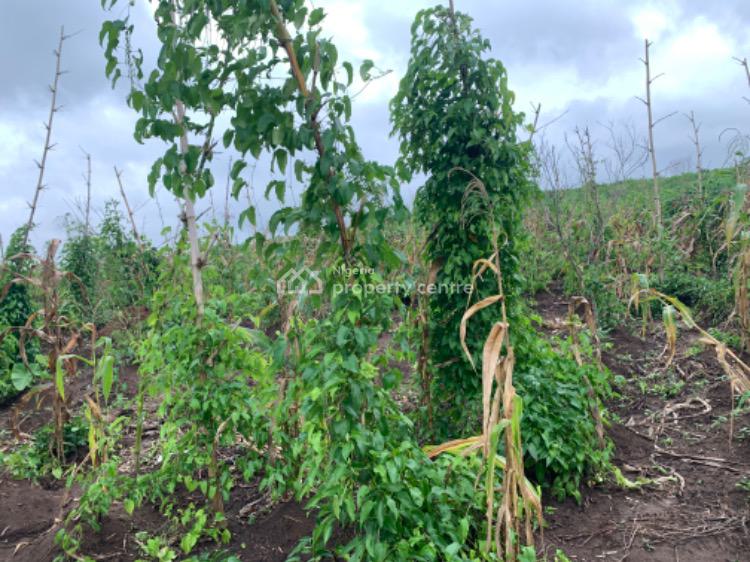 Cheapest Farm Land, Epe Toll Gate, Epe, Lagos, Land for Sale