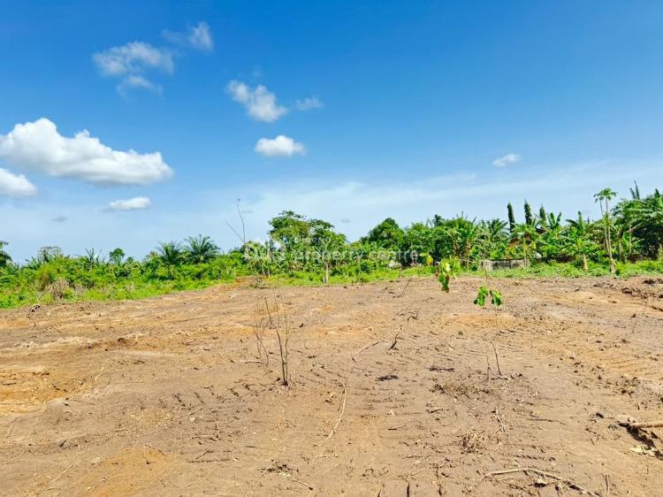 a Wealth Creation Dry Landed Property Around Capital Projects, Behind Model College and Otedola Housing Estate, Igbonla, Epe, Lagos, Mixed-use Land for Sale