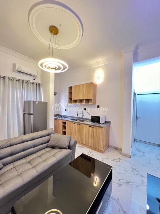 Furnished 1 Bedroom Apartment, Lekki Phase 1, Lekki, Lagos, Mini Flat (room and Parlour) for Rent
