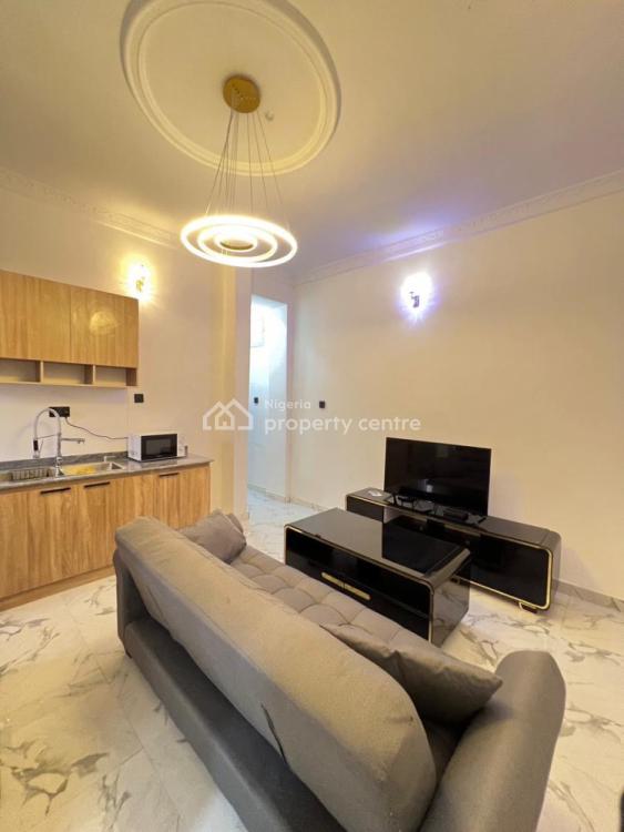 Furnished 1 Bedroom Apartment, Lekki Phase 1, Lekki, Lagos, Mini Flat (room and Parlour) for Rent