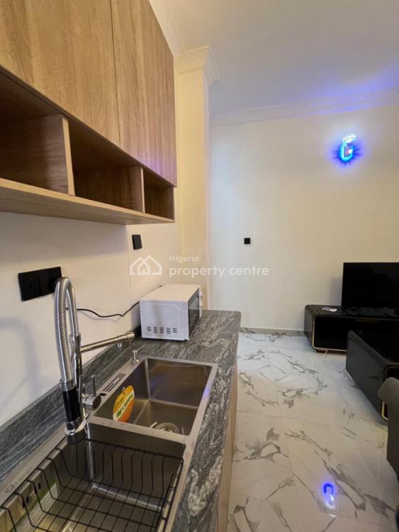 Furnished 1 Bedroom Apartment, Lekki Phase 1, Lekki, Lagos, Mini Flat (room and Parlour) for Rent