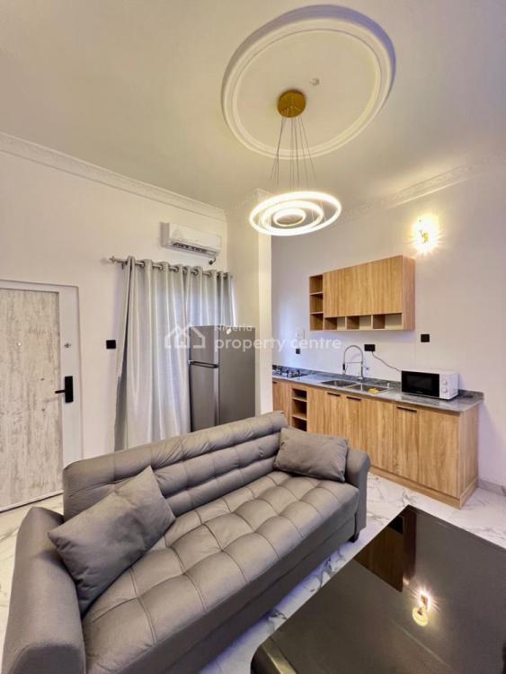 Furnished 1 Bedroom Apartment, Lekki Phase 1, Lekki, Lagos, Mini Flat (room and Parlour) for Rent