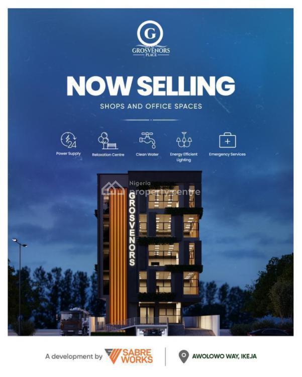 Luxury Commercial Space in  a Bustling and Good Working Location, Ikeja, Lagos, Office Space for Sale