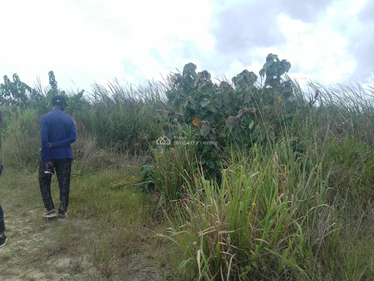 Own Genuine Land in Lagos Today, Oketiri Street, Sangotedo, Ajah, Lagos, Residential Land for Sale