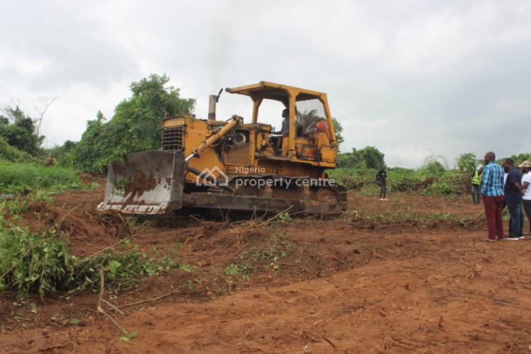 Farm Land, Farm City Estate, Obafemi Owode, Ogun, Land for Sale