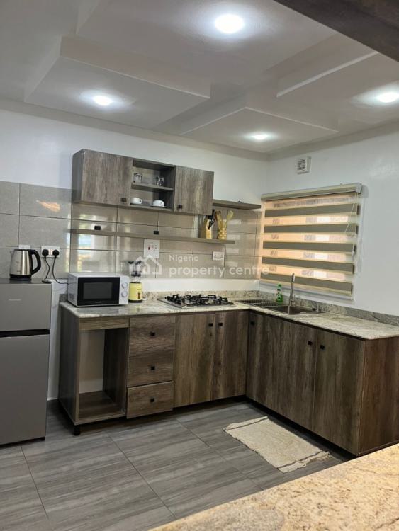 Exotic Furnished 1 Bedroom, Wuye, Abuja, Flat / Apartment Short Let
