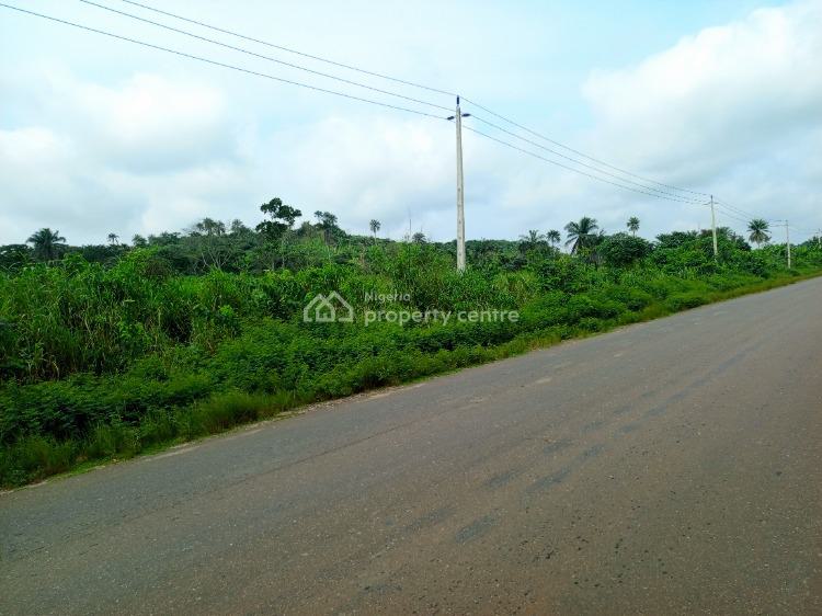 7 Acres of Commercial Land, Siun-ogere Road, Owode, Obafemi Owode, Ogun, Commercial Land for Sale