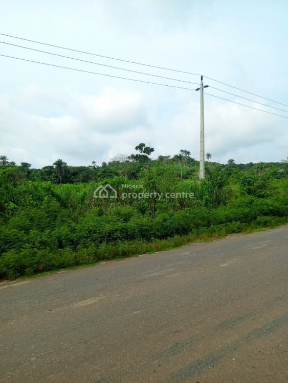 7 Acres of Commercial Land, Siun-ogere Road, Owode, Obafemi Owode, Ogun, Commercial Land for Sale