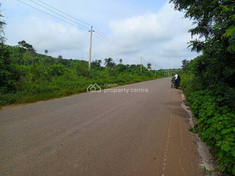 7 Acres of Commercial Land, Siun-ogere Road, Owode, Obafemi Owode, Ogun, Commercial Land for Sale