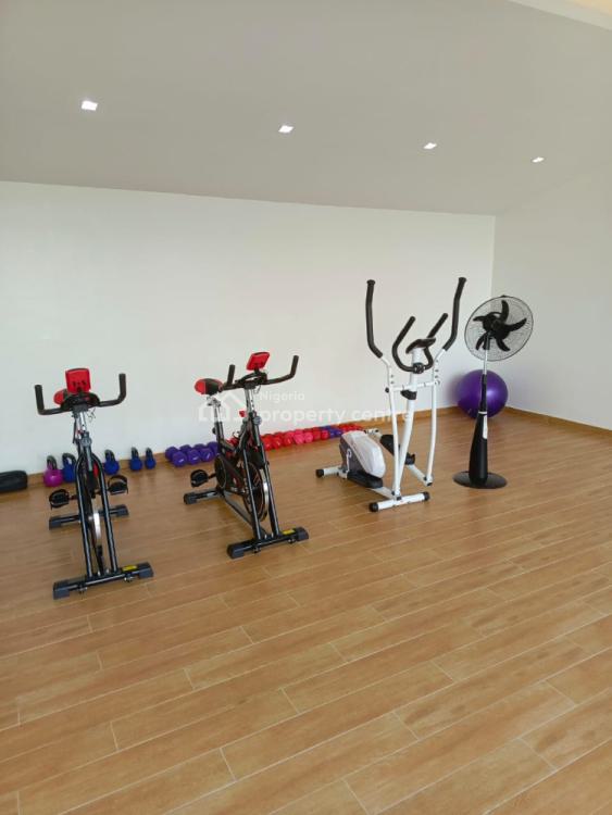 Newly Built Fully Furnished Eleven (11) Bedroom Apartment with Gym, 22, Maitama Sule Street, Ikoyi, Lagos, House for Rent