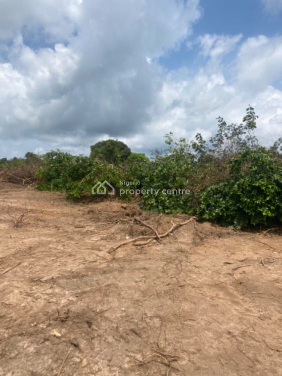 Land Close to Lagos State Chois Estate, Ikorodu, Lagos, Mixed-use Land Short Let