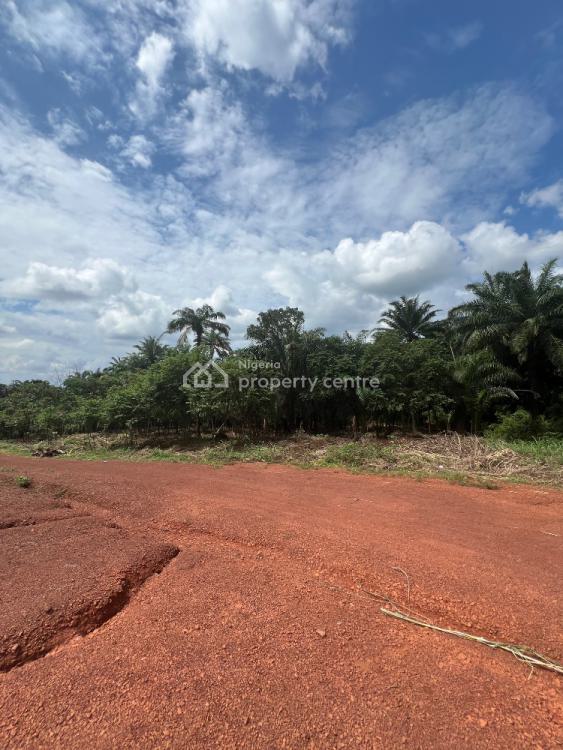 Land Banking Property, Nazareth City Layout, Neke Uno, Enugu, Enugu, Mixed-use Land for Sale