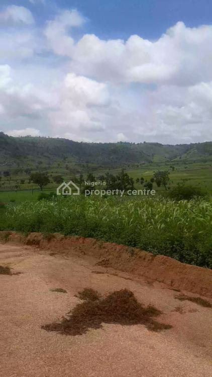 4 Hectares of Land, Behind Abasha Barracks, Entering Through Admiralty Estate, Asokoro District, Abuja, Residential Land for Sale