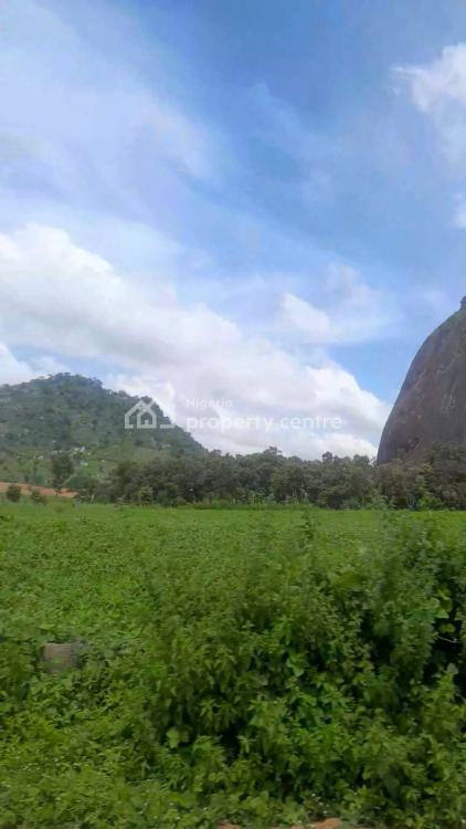 1 Hectare of Land, Behind Abasha Barracks, Entering Point Admiralty Estate, Asokoro District, Abuja, Residential Land for Sale