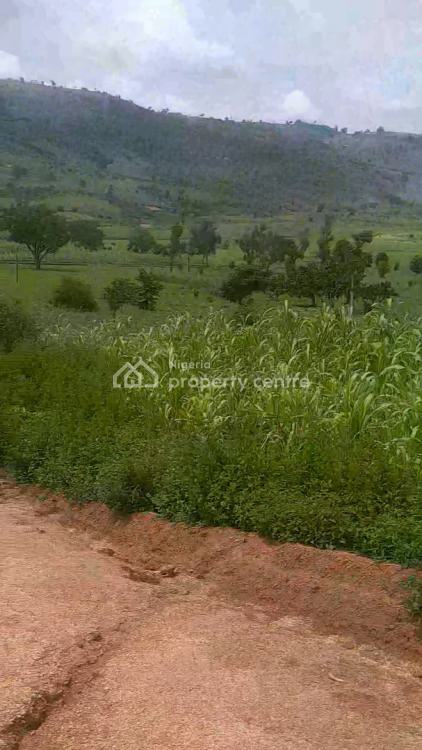 1 Hectare of Land, Behind Abasha Barracks, Entering Point Admiralty Estate, Asokoro District, Abuja, Residential Land for Sale