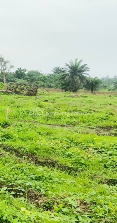 Government Approved Dry Land in Good Location, Ifite Village Nibo Town, Awka, Anambra, Land for Sale